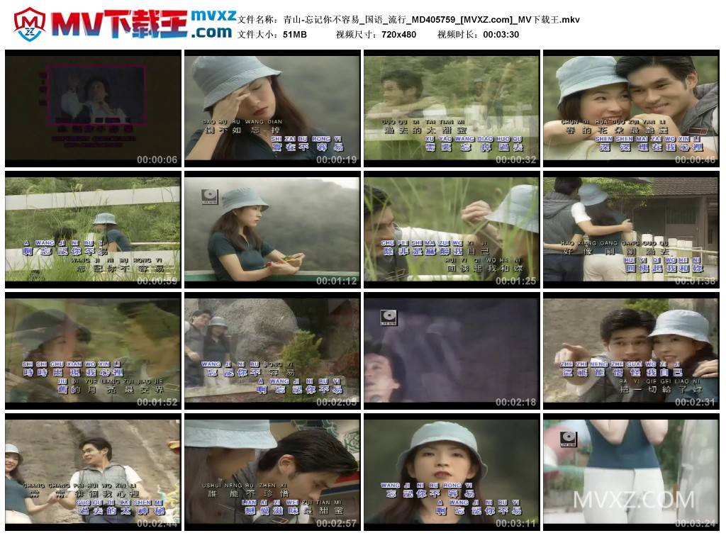 青山-忘记你不容易_国语_流行_MD405759